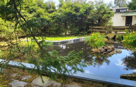 Ferienwohnung Traumausblick Hahnenklee - Foto 18