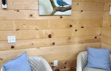 Bird House - Foto 10