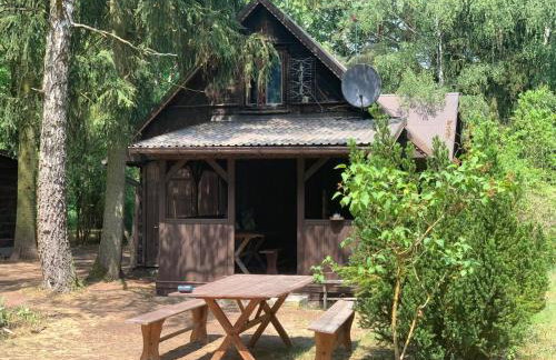 Dom z linią brzegową Narwi 2 - Photo 1