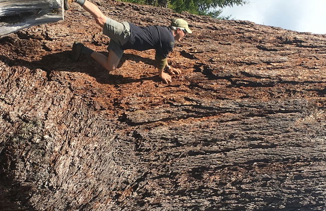 The Great Escape Secluded with Hot Tub - Foto 38