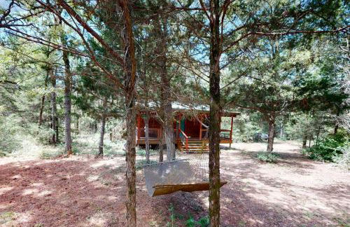 Serene and Secluded Paige Cabin Dogs Welcome! - Foto 15