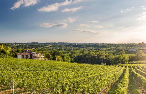 Tenuta Sant'Eufemia - Foto 78