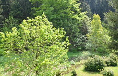 Cozy Apartment Near Trails - Foto 44