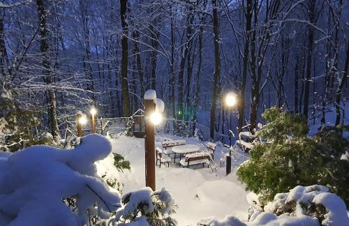 Leśny Zakątek - Foto 32