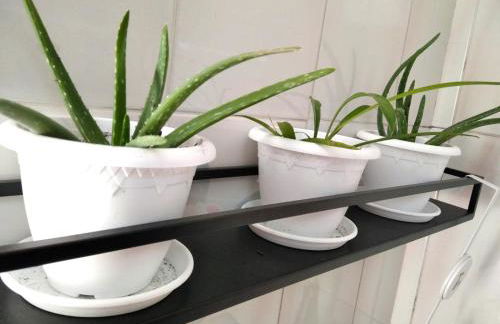 La Casa di Gio ed Eli - Foto 60