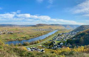 Ferienweingut Matthias Löwen - Foto 23