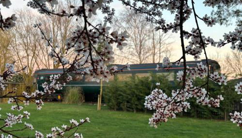 The Carriage Ely - Foto 5