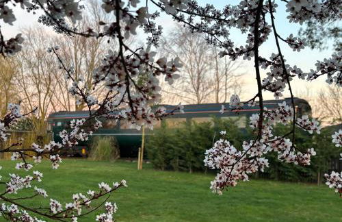 The Carriage Ely - Photo 5