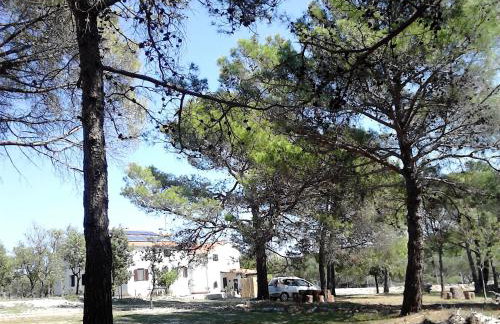 Eco Secluded apartments Zabodarski - Foto 28