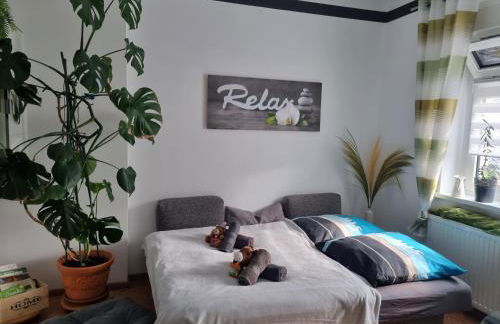 Ferienwohnung *Zur Weinbergstraße* - Foto 12