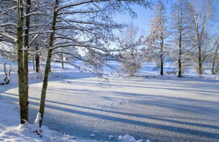 Ferienwohnung "Il Paradiso" in Schluchsee mit Dachterrasse und Seeblick - Foto 36