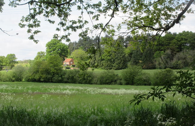 Cherry Tree Cottage - Foto 38