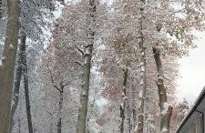 Apartamenty Plażowa 11 - Foto 6