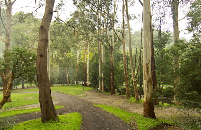 Tarra Valley Retreat - Foto 1