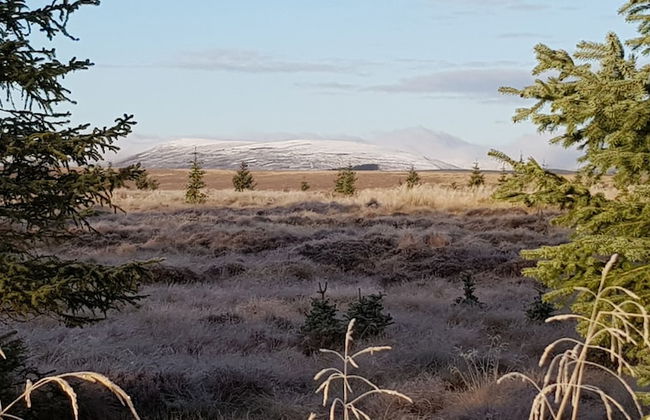 Linn of Avon Holiday Cottages - Foto 30