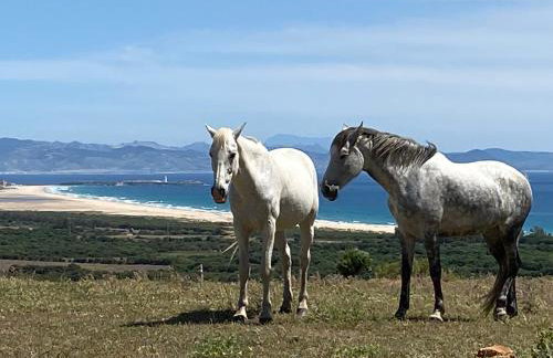 Tarifa Cabin with Panoramic Sea Views - Foto 28