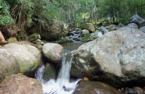 Pedra Do Imperador - Foto 16