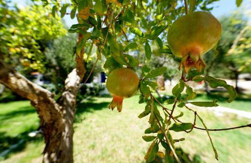 White Rock Apartments - Foto 31