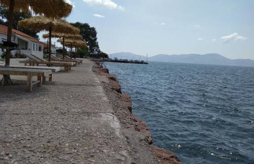 Ktima Develekou - Foto 30