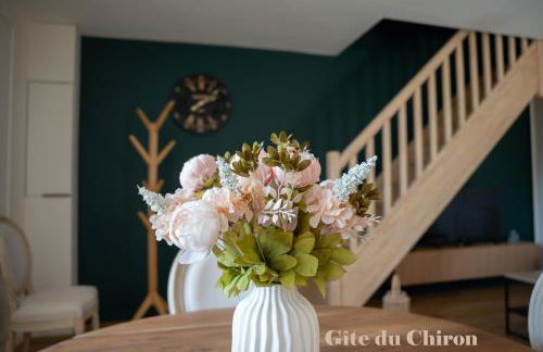 Maison de la Rochejaquelein - Photo 14