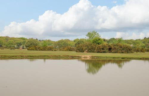 Gwydn Lodge - Photo 33