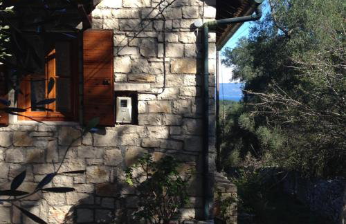 The "M" House - Photo 23