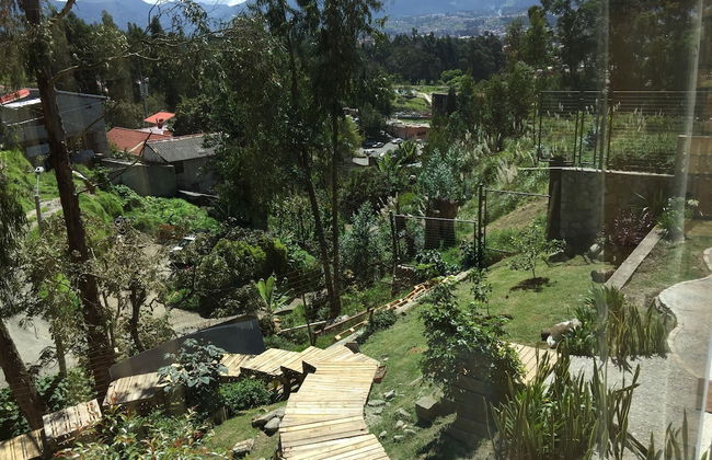 Bambu Sierra - Photo 54