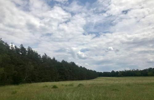 FEWO PARTNERS Haus Clemens - Gemütliches Holzhaus mit Grundstück nahe Badesee - Photo 43
