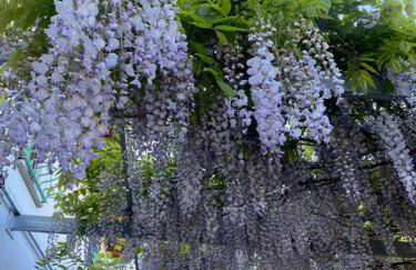 La Locanda Del Tevere - Foto 65