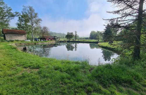 Ferienwohnung Pflüger mit Terrasse - Foto 33