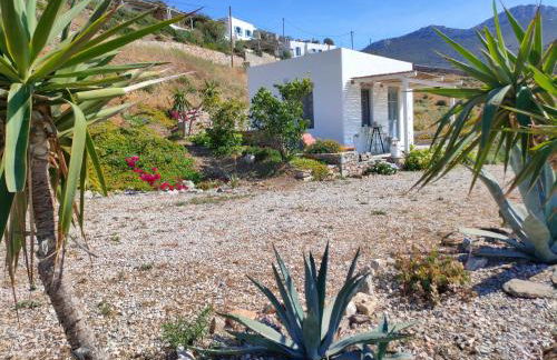 Scarpathia House - Foto 1