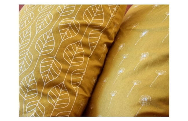 Herring Gull in the Villa Meernixe Binz - Photo 13