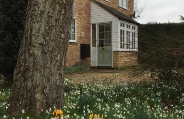 Beech View Cottage 2 - Foto 3