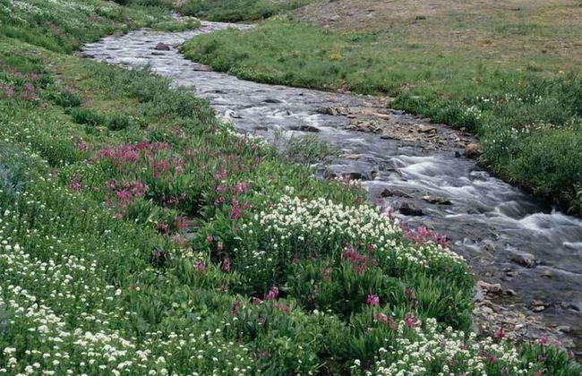 Horizons 4 #144 - Foto 10