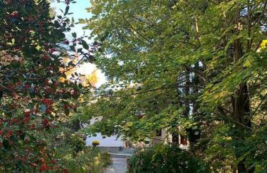 Forest cottage top of the world - Foto 38