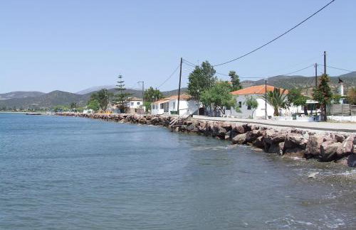 Ktima Develekou - Foto 40