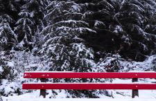 Ferienwohnung "Hirschlein" im Schwarzwald - Foto 51