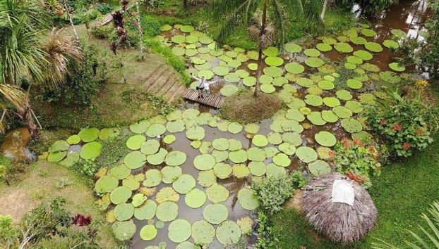 Landscapes of Reserva Natura Park