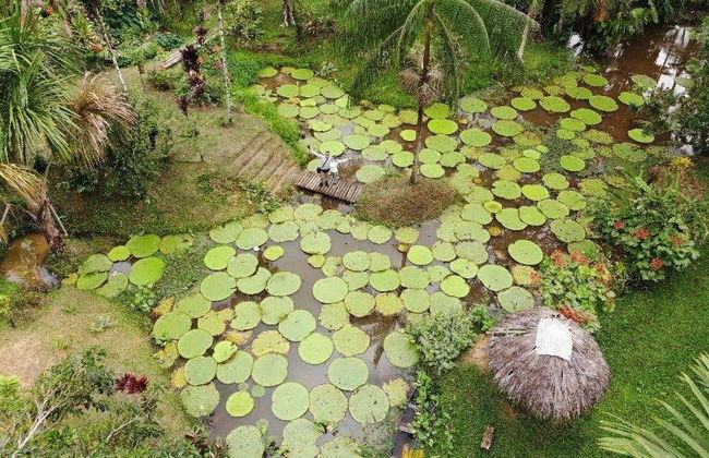 Reserva Natura Park in 3, 4, 5 o 6 giorni - Foto 3