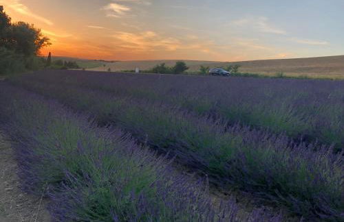 Villa Barbara - Foto 23