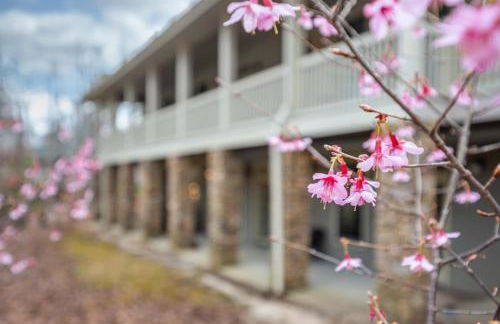 The Clubhouse Hideaway - The Greenview Den - Foto 68