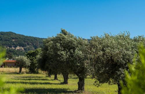 M & S Villa - 4 bedroom villa with heated pool - Foto 61