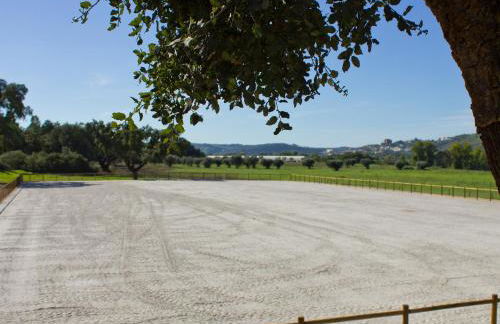 Vale De Ferreiros - Foto 71