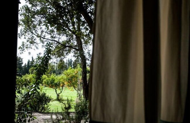 Agriturismo Archelao - Photo 41