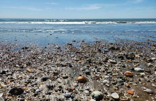 La casetta di Francesco - Relax - Mare - Treno 20' Roma - Foto 9
