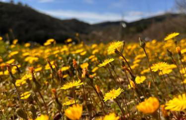 "Les Hauts du Marquet" - Meublé de tourisme 5 Etoiles - Gîte de groupe 15 Personnes en Cévennes - Piscine à débordement - Balnéo - Sauna - Nature - Foto 56