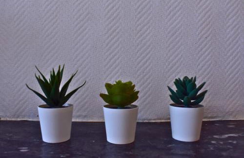 Le Camélinat T2 centre ville Proche stade et parc expo - Foto 17