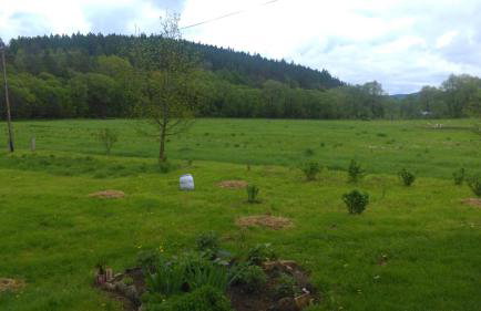 Organistowka - Foto 10