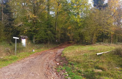 ECOLE de BELMONT - Foto 6