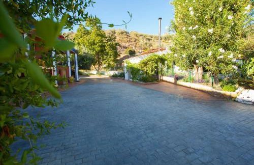 Alojamiento Rural el Azamur - Foto 34